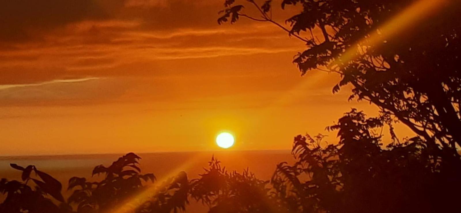Residence La Palmeraie Le Diamant Dış mekan fotoğraf